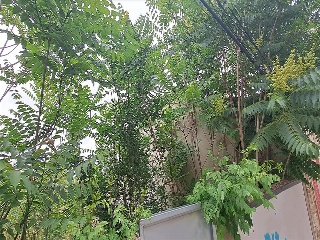 Calle Colombia 11