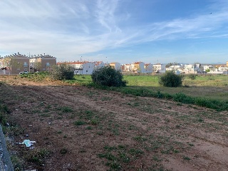 HUERTA DEL CARMEN F 2
