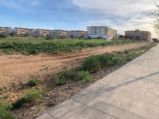 HUERTA DEL CARMEN F 6