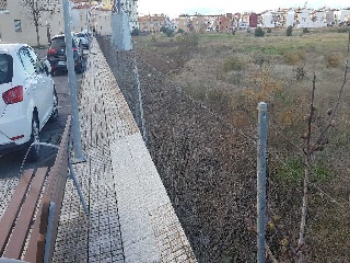 HUERTA DEL CARMEN F 7