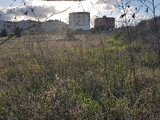 HUERTA DEL CARMEN F 9
