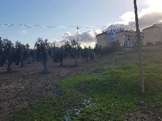 HUERTA DEL CARMEN F 10