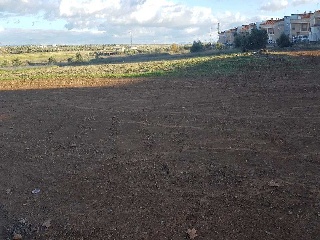 HUERTA DEL CARMEN F 12