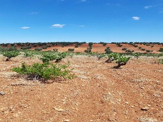 PARAJE FRAILE 2