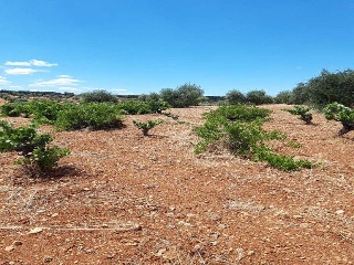 PARAJE FRAILE 3