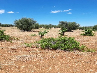 PARAJE FRAILE 4