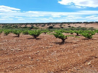 PARAJE FRAILE 5