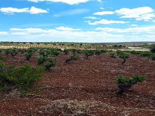 PARAJE FRAILE 6