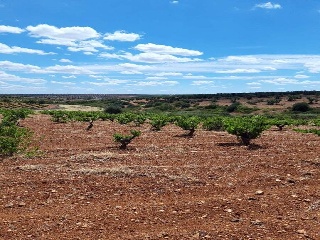 PARAJE FRAILE 7