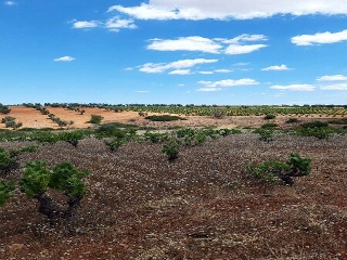 PARAJE FRAILE 8