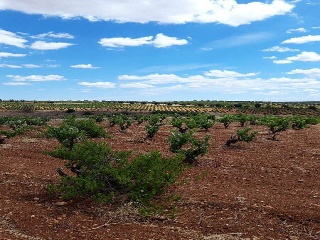 PARAJE FRAILE 9