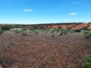PARAJE FRAILE 10