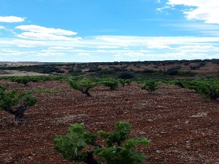 PARAJE FRAILE 11