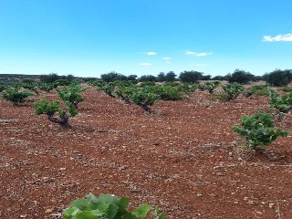PARAJE FRAILE 12