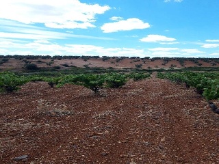 PARAJE FRAILE 13