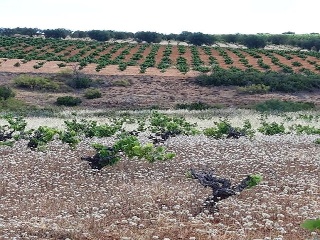 PARAJE FRAILE 14