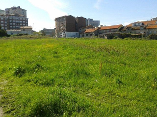 ALBERICIA 2