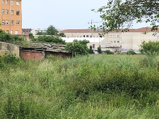 ALBERICIA 5