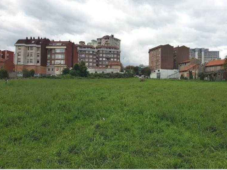 ALBERICIA 7