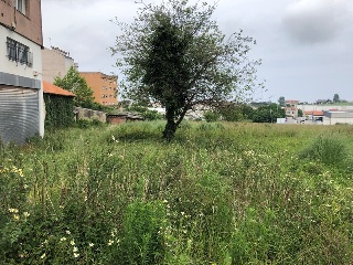 ALBERICIA 9