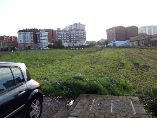 ALBERICIA 10