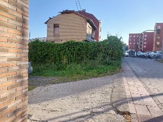ALBERICIA 16