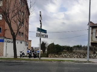 ALBERICIA 17