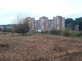 SANTA APOLONIA 3