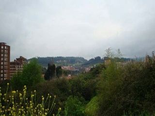 SANTA APOLONIA 5