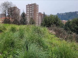 SANTA APOLONIA 8