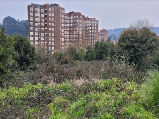 SANTA APOLONIA 9