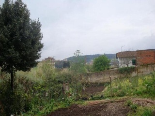 SANTA APOLONIA 10