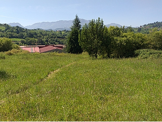 AUS-PTN. EL PONTÓN. SAN CLAUDIO. PARC 117 POLIG 48 2