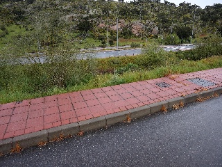 SIERRA DE ANCARES 8