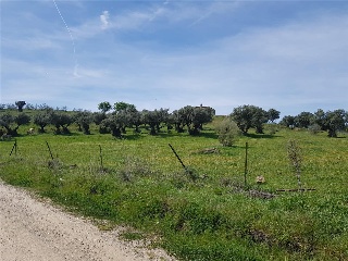 Pisos banco Plasencia