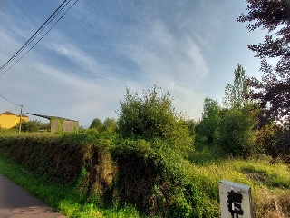 AMBITO UH-UZ-32-BD CARRETERA DE LUGO A POSADA. Polígono 11 Parcela 81 3