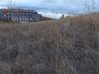 PASEO DEL FERROCARRIL 4