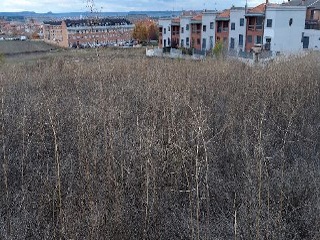 PASEO DEL FERROCARRIL 5