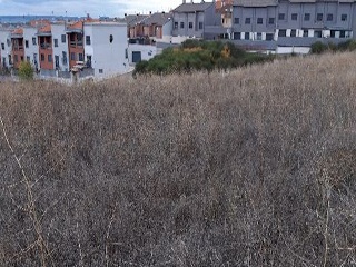PASEO DEL FERROCARRIL 6