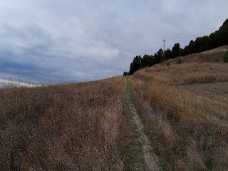 PASEO DEL FERROCARRIL 10
