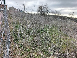 PASEO DEL FERROCARRIL 13