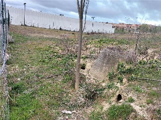 PASEO DEL FERROCARRIL 15
