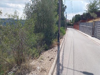 OCELLS DELS 3