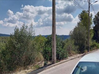 OCELLS DELS 5