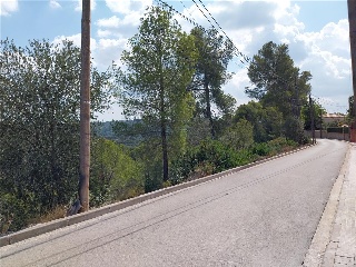 P.P.O CAMI DELS OCELLS 2