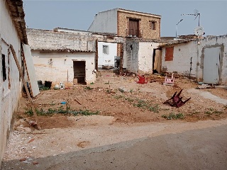 CARMONITA 8