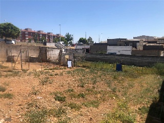 CARMONITA 12