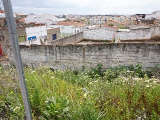 CARMONITA 18