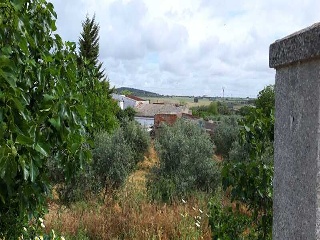 PARAJE VALLE DE LA CUERNA 3