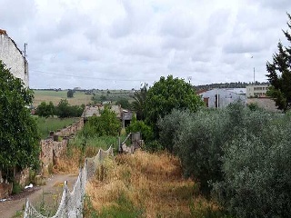 PARAJE VALLE DE LA CUERNA 4